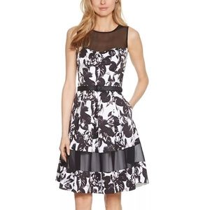 White House Black Market Dress